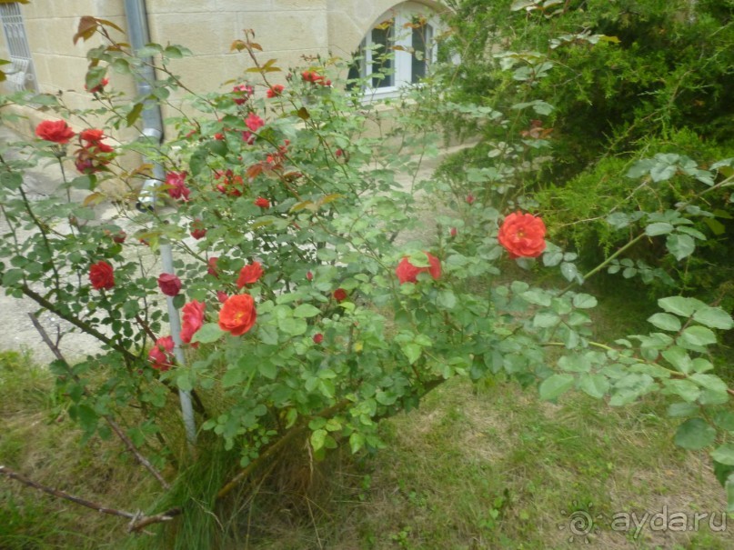 От Кисловодского мемориального музея-усадьбы художника Н. А. Ярошенко к музею крепости