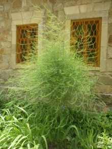 От Кисловодского мемориального музея-усадьбы художника Н. А. Ярошенко к музею крепости