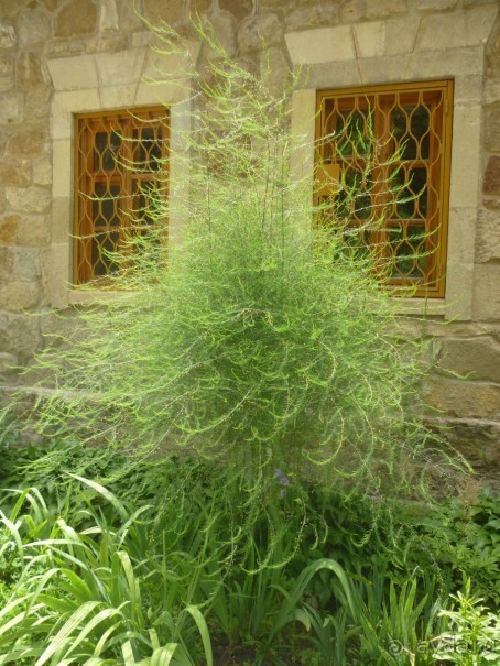 От Кисловодского мемориального музея-усадьбы художника Н. А. Ярошенко к музею крепости