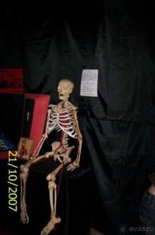 Музей антропологии и этнографии им. Петра Великого (Кунсткамера) - посетила Самару в особняке Дом К	