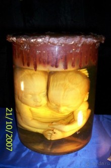 Музей антропологии и этнографии им. Петра Великого (Кунсткамера) - посетила Самару в особняке Дом К	