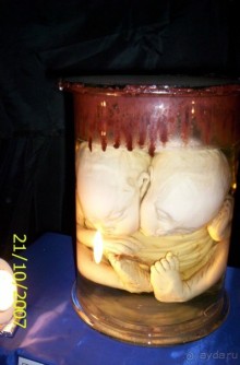 Музей антропологии и этнографии им. Петра Великого (Кунсткамера) - посетила Самару в особняке Дом К	