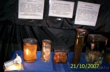 Музей антропологии и этнографии им. Петра Великого (Кунсткамера) - посетила Самару в особняке Дом К	