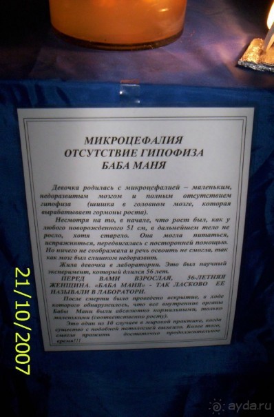 Музей антропологии и этнографии им. Петра Великого (Кунсткамера) - посетила Самару в особняке Дом К	