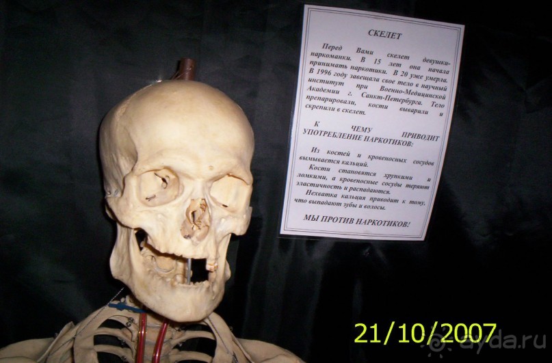 Музей антропологии и этнографии им. Петра Великого (Кунсткамера) - посетила Самару в особняке Дом К	