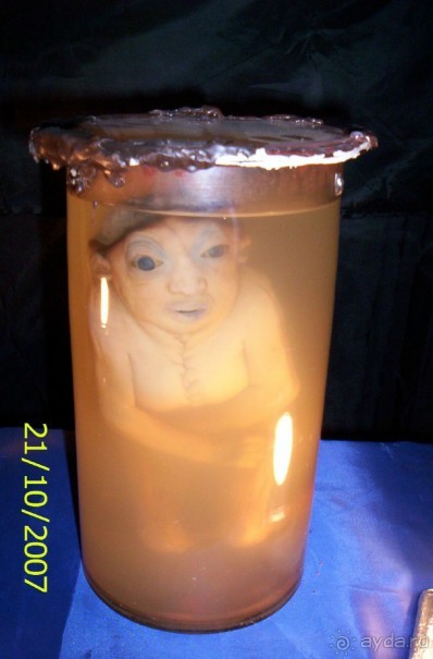 Музей антропологии и этнографии им. Петра Великого (Кунсткамера) - посетила Самару в особняке Дом К	