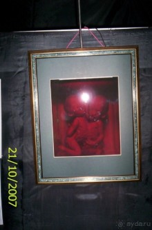 Музей антропологии и этнографии им. Петра Великого (Кунсткамера) - посетила Самару в особняке Дом К	