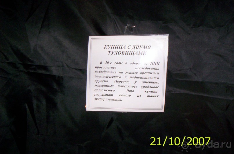 Музей антропологии и этнографии им. Петра Великого (Кунсткамера) - посетила Самару в особняке Дом К	