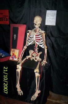 Музей антропологии и этнографии им. Петра Великого (Кунсткамера) - посетила Самару в особняке Дом К	