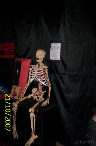 Музей антропологии и этнографии им. Петра Великого (Кунсткамера) - посетила Самару в особняке Дом К	