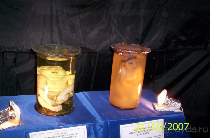 Музей антропологии и этнографии им. Петра Великого (Кунсткамера) - посетила Самару в особняке Дом К	