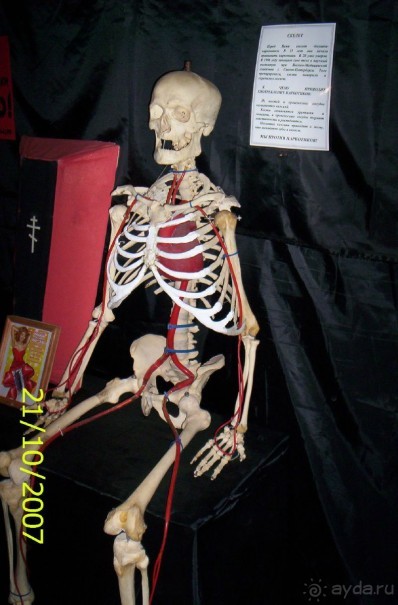 Музей антропологии и этнографии им. Петра Великого (Кунсткамера) - посетила Самару в особняке Дом К	