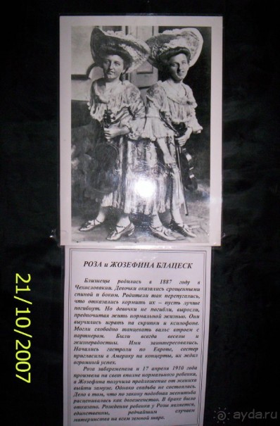 Музей антропологии и этнографии им. Петра Великого (Кунсткамера) - посетила Самару в особняке Дом К	