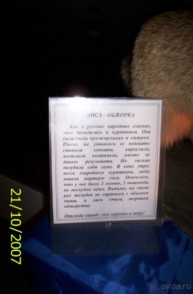 Музей антропологии и этнографии им. Петра Великого (Кунсткамера) - посетила Самару в особняке Дом К	