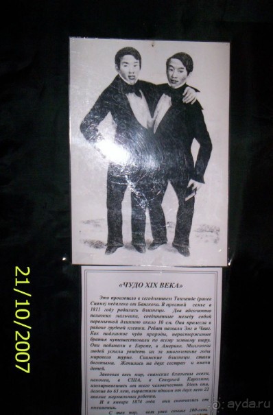 Музей антропологии и этнографии им. Петра Великого (Кунсткамера) - посетила Самару в особняке Дом К	