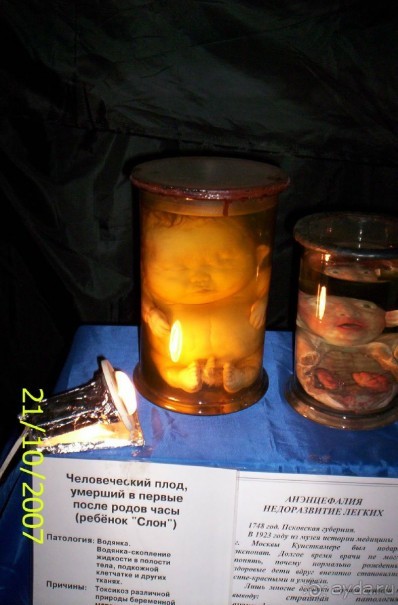 Музей антропологии и этнографии им. Петра Великого (Кунсткамера) - посетила Самару в особняке Дом К	