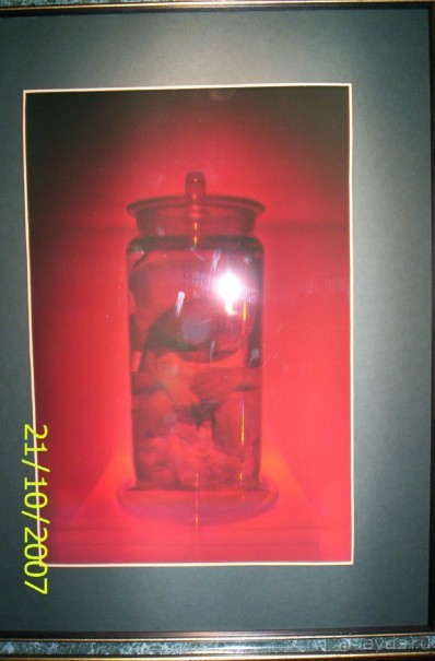 Музей антропологии и этнографии им. Петра Великого (Кунсткамера) - посетила Самару в особняке Дом К	