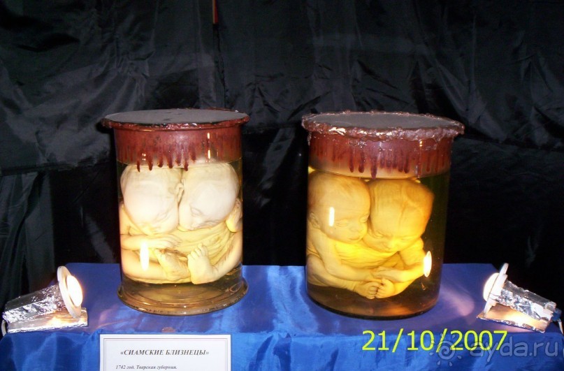 Музей антропологии и этнографии им. Петра Великого (Кунсткамера) - посетила Самару в особняке Дом К	