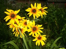 Вечерняя набережная Самары, виды старой части города