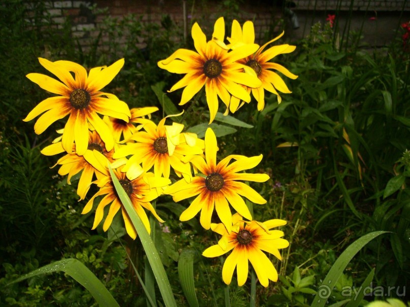 Вечерняя набережная Самары, виды старой части города