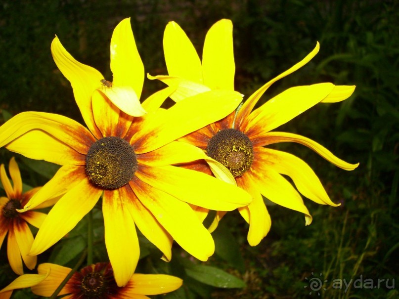 Вечерняя набережная Самары, виды старой части города