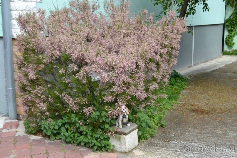 Удобный, комфортабельный, доброжелательный пенсион