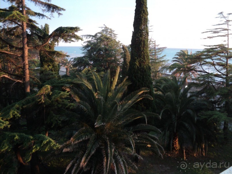 Ботанический сад