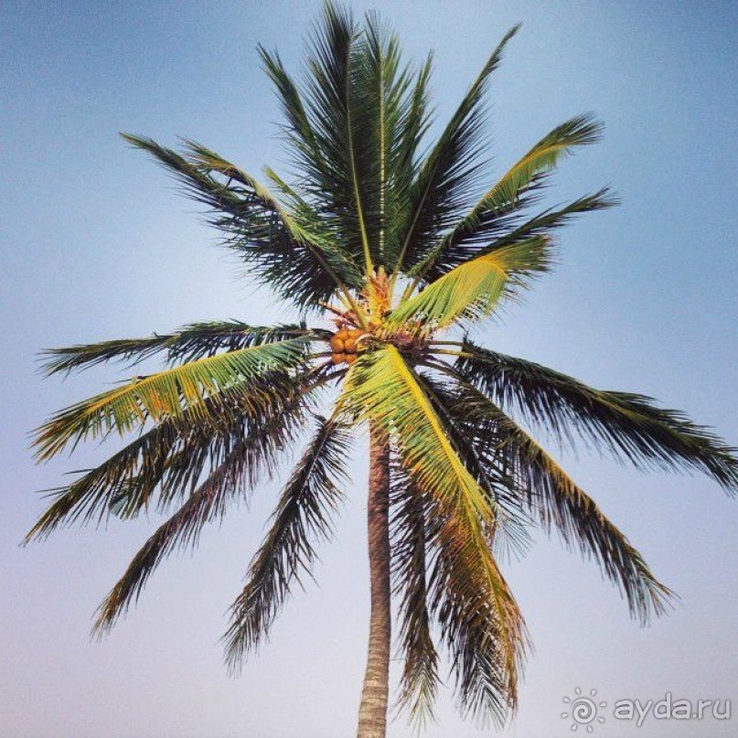 Мексиканский трип с ООО Респект Иркутск