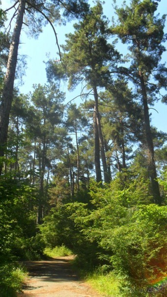 Амзара- СССР