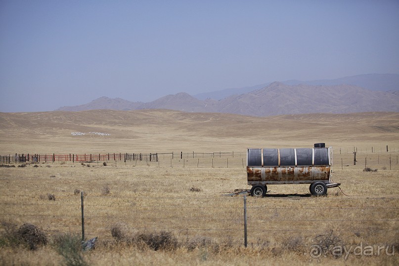 Day 9. Yosemite National Park