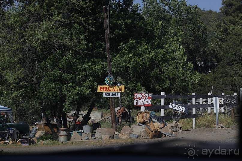 Day 9. Yosemite National Park