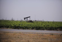 Day 9. Yosemite National Park