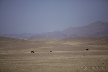 Day 9. Yosemite National Park