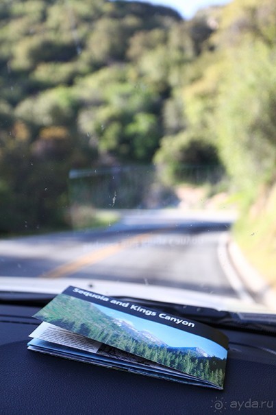 Day 9. Yosemite National Park