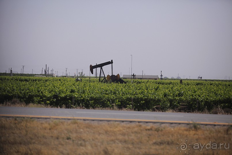 Day 9. Yosemite National Park