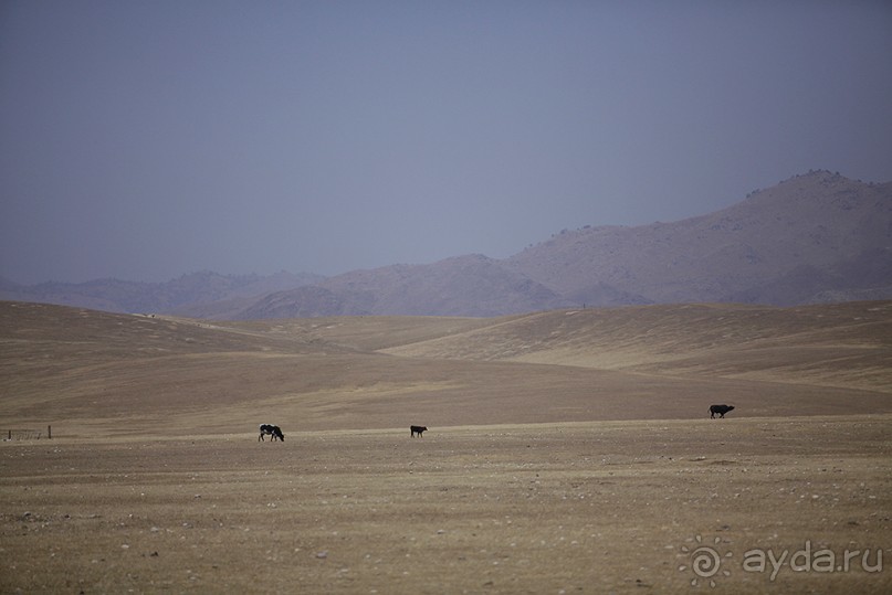 Day 9. Yosemite National Park