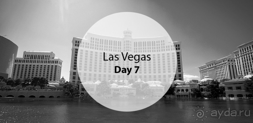 Day 7. Las Vegas