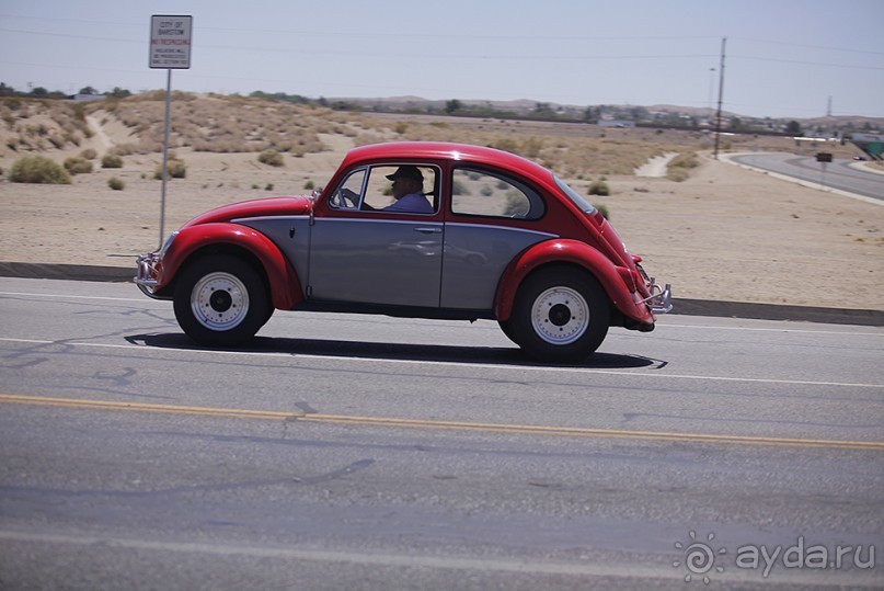 Day 8. Nevada. И еще один день в Вегасе или как я женился в городе греха
