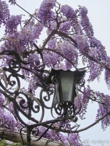 Дороги, которые нас выбирают: Неаполь, четыре "П" и Амальфитанское побережье. Часть 13