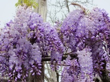 Дороги, которые нас выбирают: Неаполь, четыре "П" и Амальфитанское побережье. Часть 13