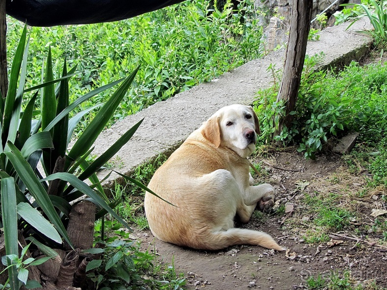 Дороги, которые нас выбирают: Неаполь, четыре "П" и Амальфитанское побережье. Часть 13