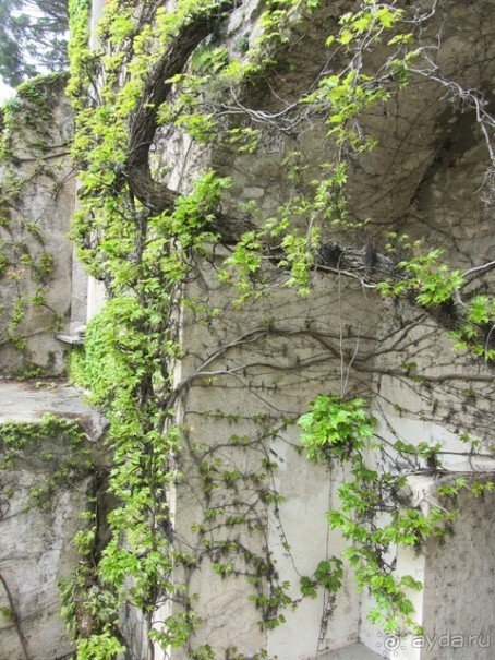 Дороги, которые нас выбирают: Неаполь, четыре "П" и Амальфитанское побережье. Часть 13