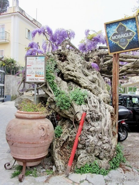 Дороги, которые нас выбирают: Неаполь, четыре "П" и Амальфитанское побережье. Часть 13