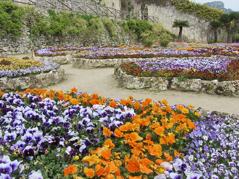 Дороги, которые нас выбирают: Неаполь, четыре "П" и Амальфитанское побережье. Часть 13