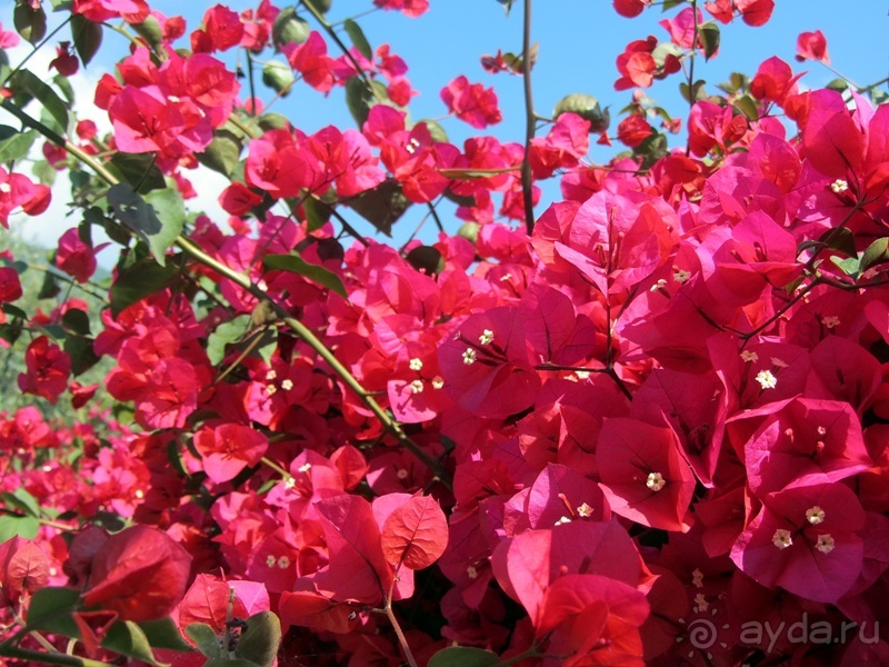 Лигурия западная и восточная. Генуя и окрестности. Часть 1