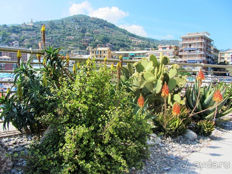 Лигурия западная и восточная. Генуя и окрестности. Часть 1
