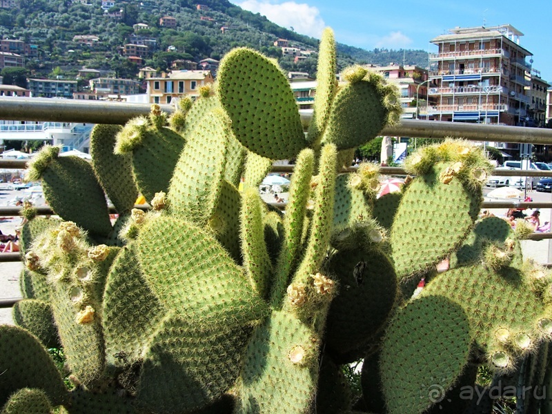 Лигурия западная и восточная. Генуя и окрестности. Часть 1