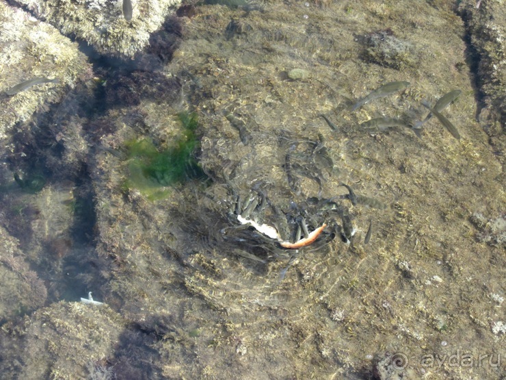 Апулия и Матера – впечатления без погружения. Мольфетта, Джовинаццо и опять Бари