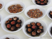 Апулия и Матера – впечатления без погружения. Мольфетта, Джовинаццо и опять Бари