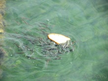 Апулия и Матера – впечатления без погружения. Мольфетта, Джовинаццо и опять Бари